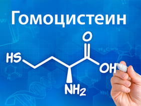 Гомоцистеин и беременность