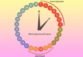 Менструальный цикл, что об этом нужно знать каждой женщине!